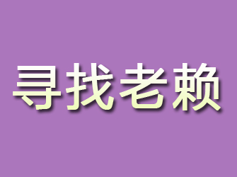 桐柏寻找老赖